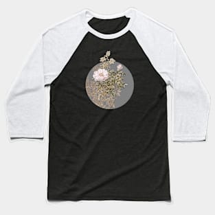 Vintage Blooming Ventenat's Rose Botanical Illustration on Circle Baseball T-Shirt